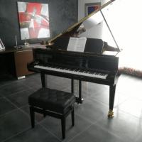 P190 PLEYEL