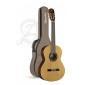 2alhambra 1c ht hybrid terra guitare classique 1