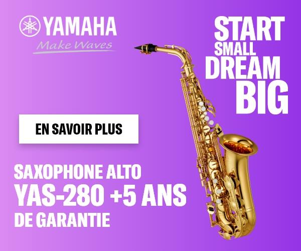 Kit de nettoyage pour saxophone alto 10 en 1 avec chiffon de