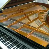 Bosendorfer 225 cadre