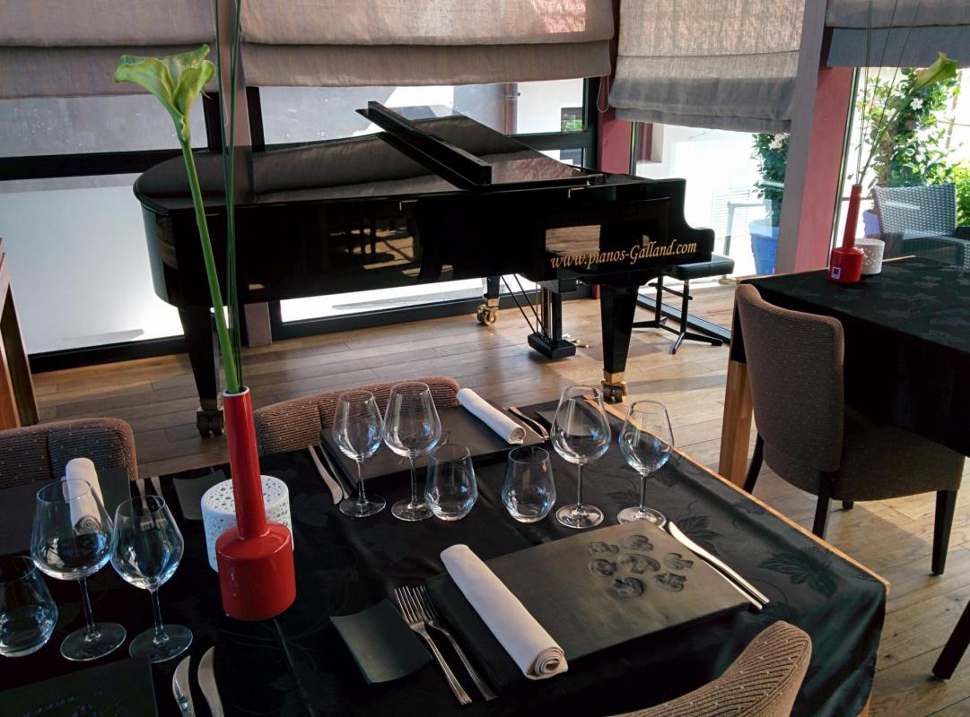 Bosendorfer monde