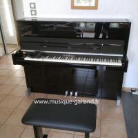 SCHIMMEL C116 Moderne