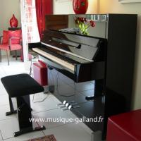 SCHIMMEL C116 Moderne