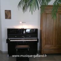 SCHIMMEL C116 Moderne