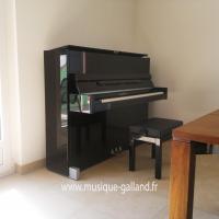 SCHIMMEL C116 Moderne