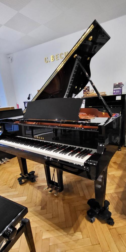 PIANOS à queue traditionnels