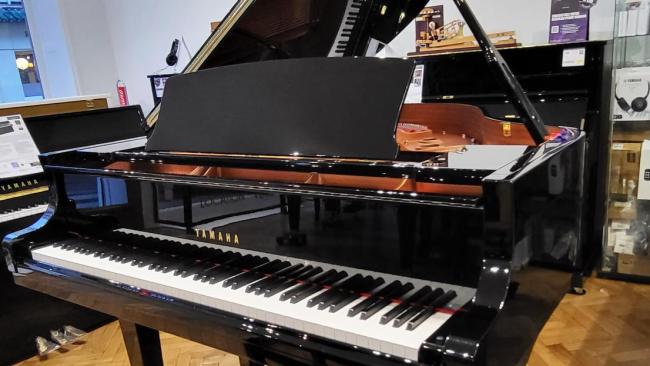 PIANOS à queue traditionnels