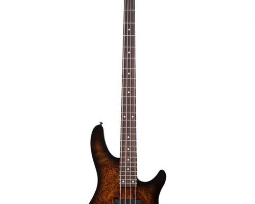 C4 standard