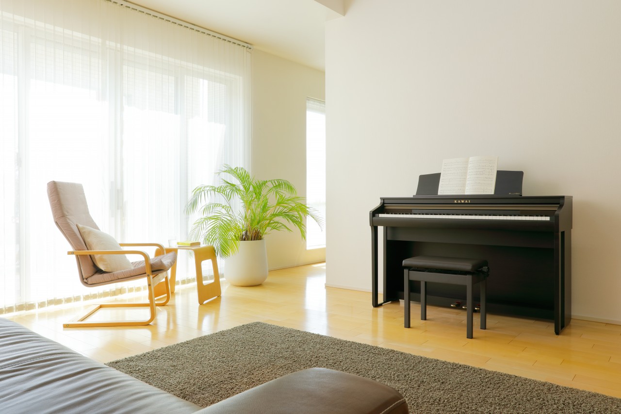 Ca48 b salon