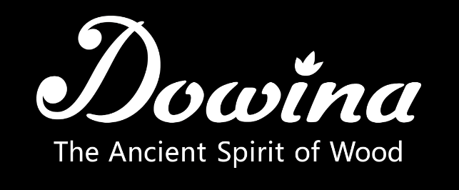 Venez découvrir notre gamme de guitare DOWINA