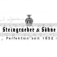 Carre steingraeber 2