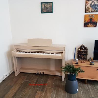 Clp 745 wa mul 1