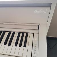Clp 775 wh 5 