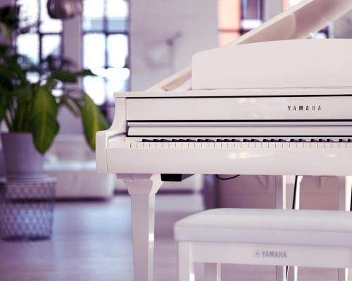 Clp 795gp wh 04 crop