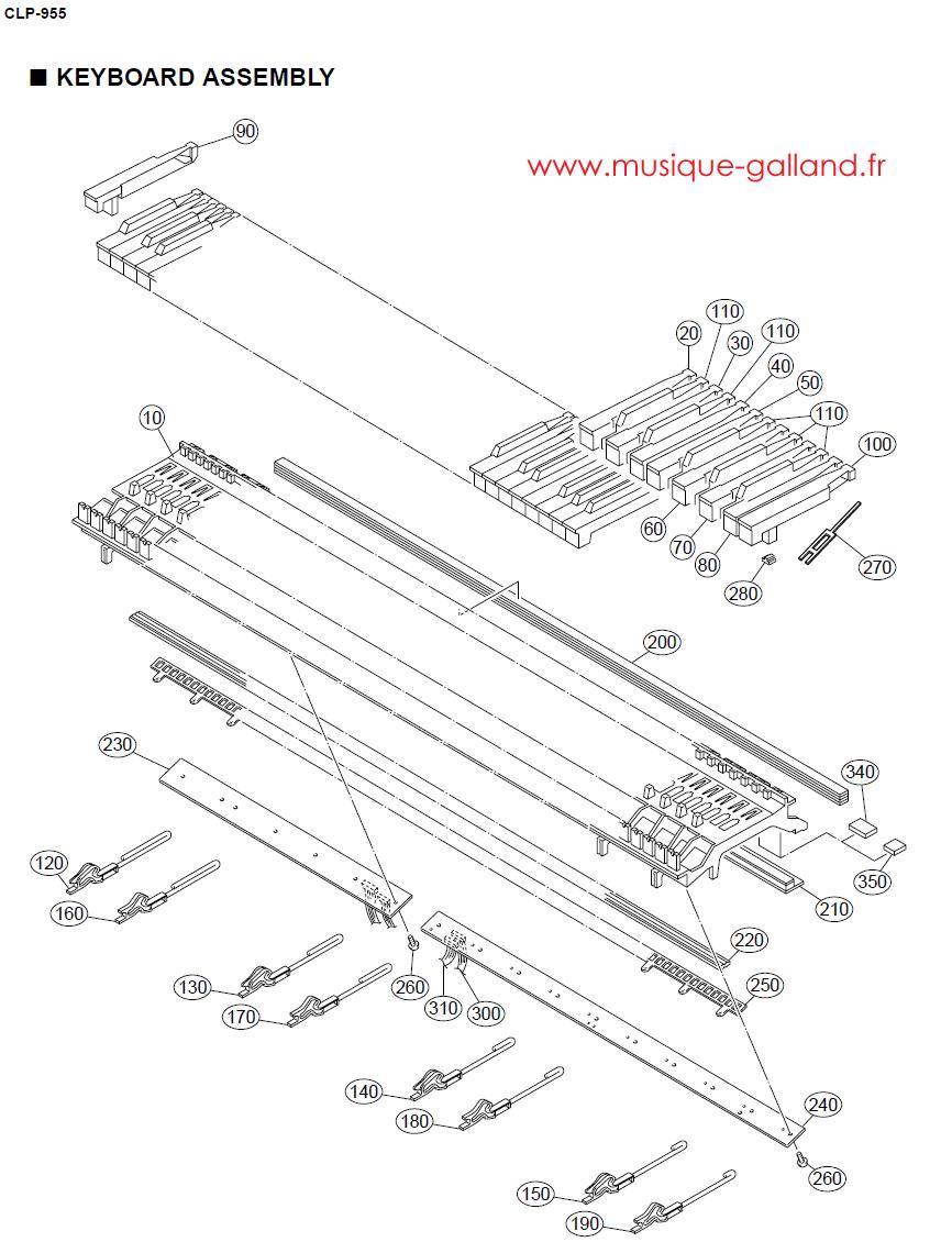 Clp 955