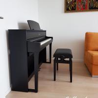 CLP875b orange profil