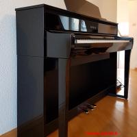 CLP875PE b