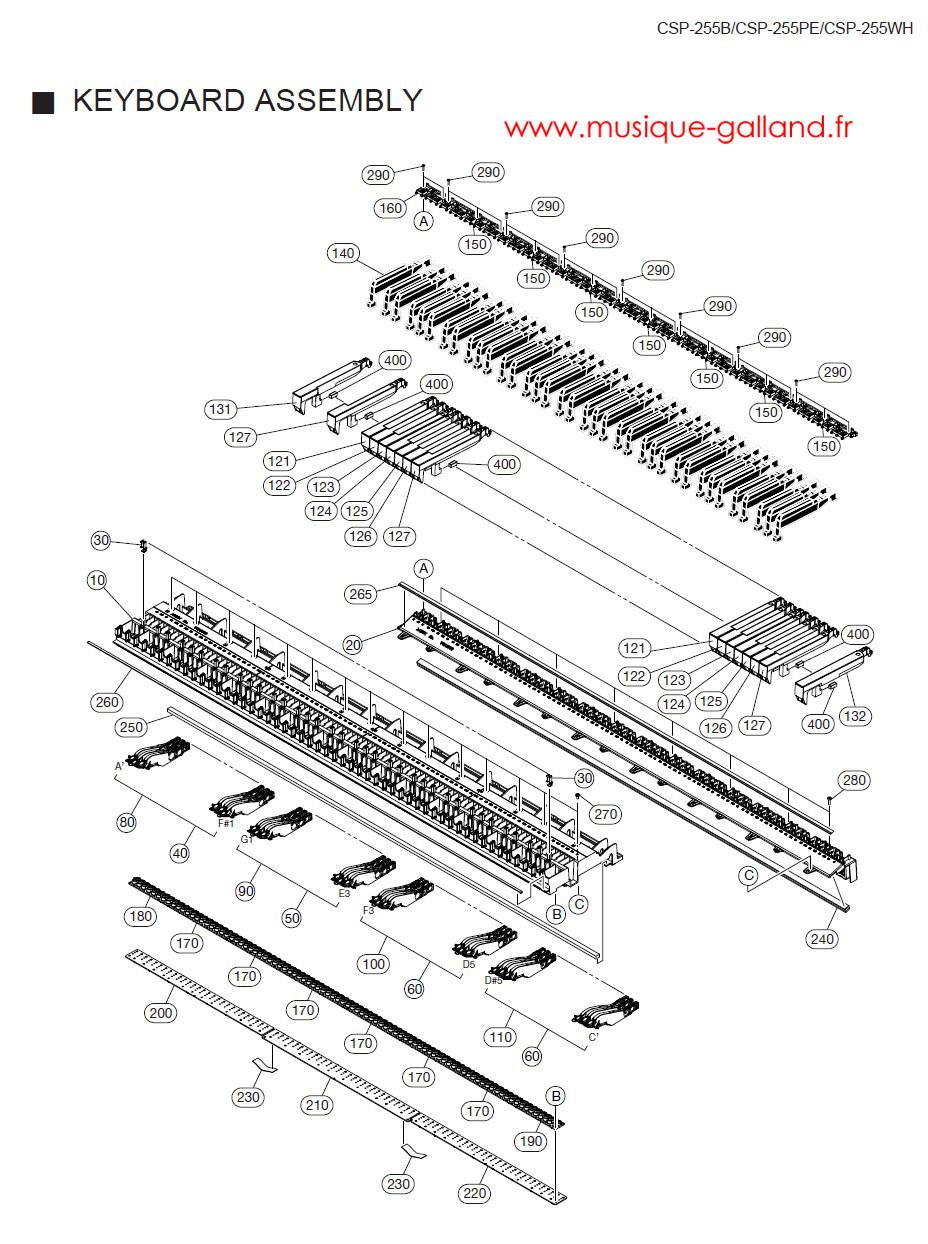 Csp 255