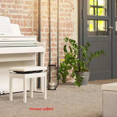 Cv49wh salon mg