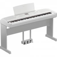 Dgx 670wh l300 lp1