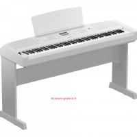 Dgx 670wh l300