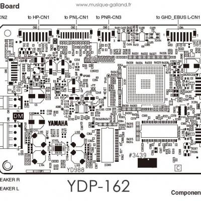 Dm s4306 ydp162