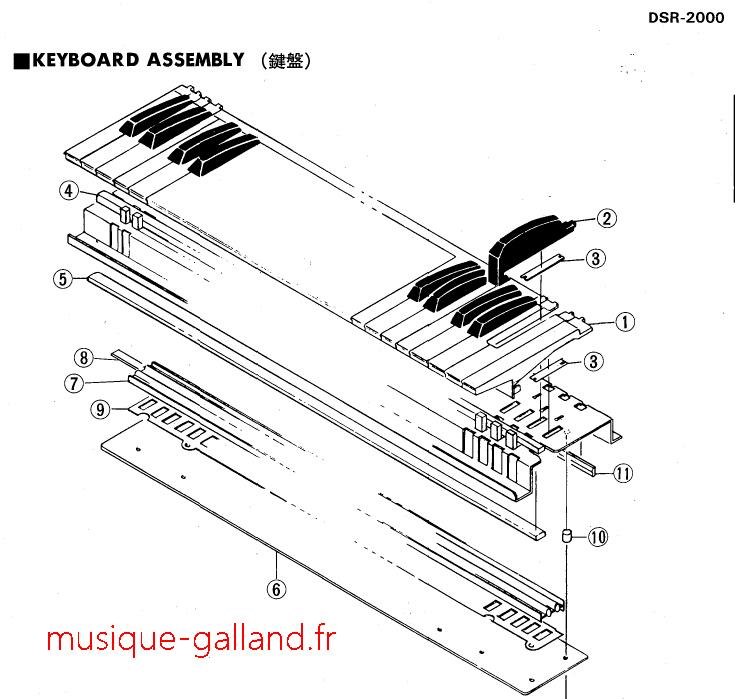 Dsr2000