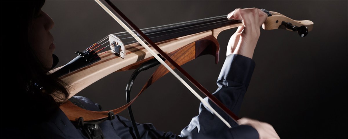 Ev105 jeu