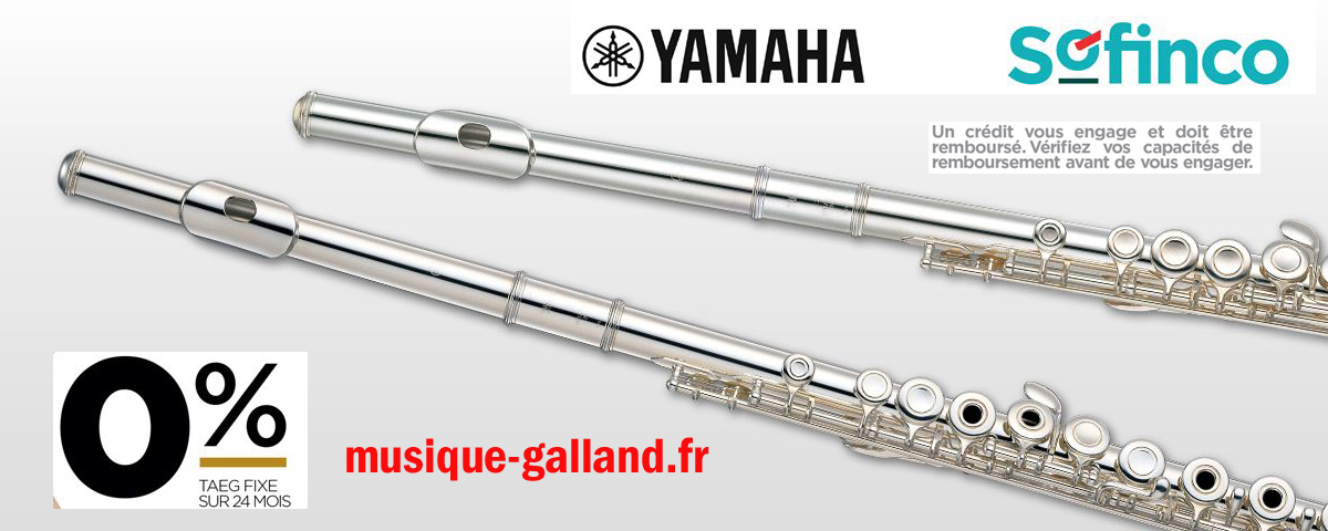 Flute traversiere 24 gratuit