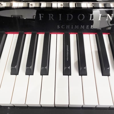 Fridolin clavier