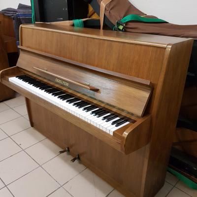 Fuchs noyer 1