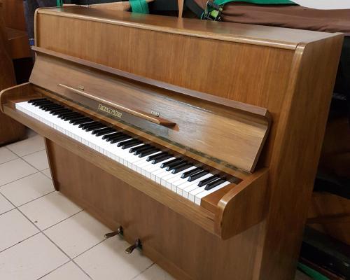 Fuchs noyer 1