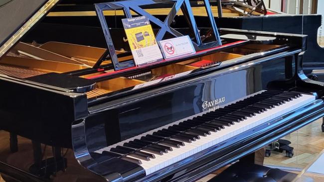 OFFRES sur les PIANOS à QUEUE