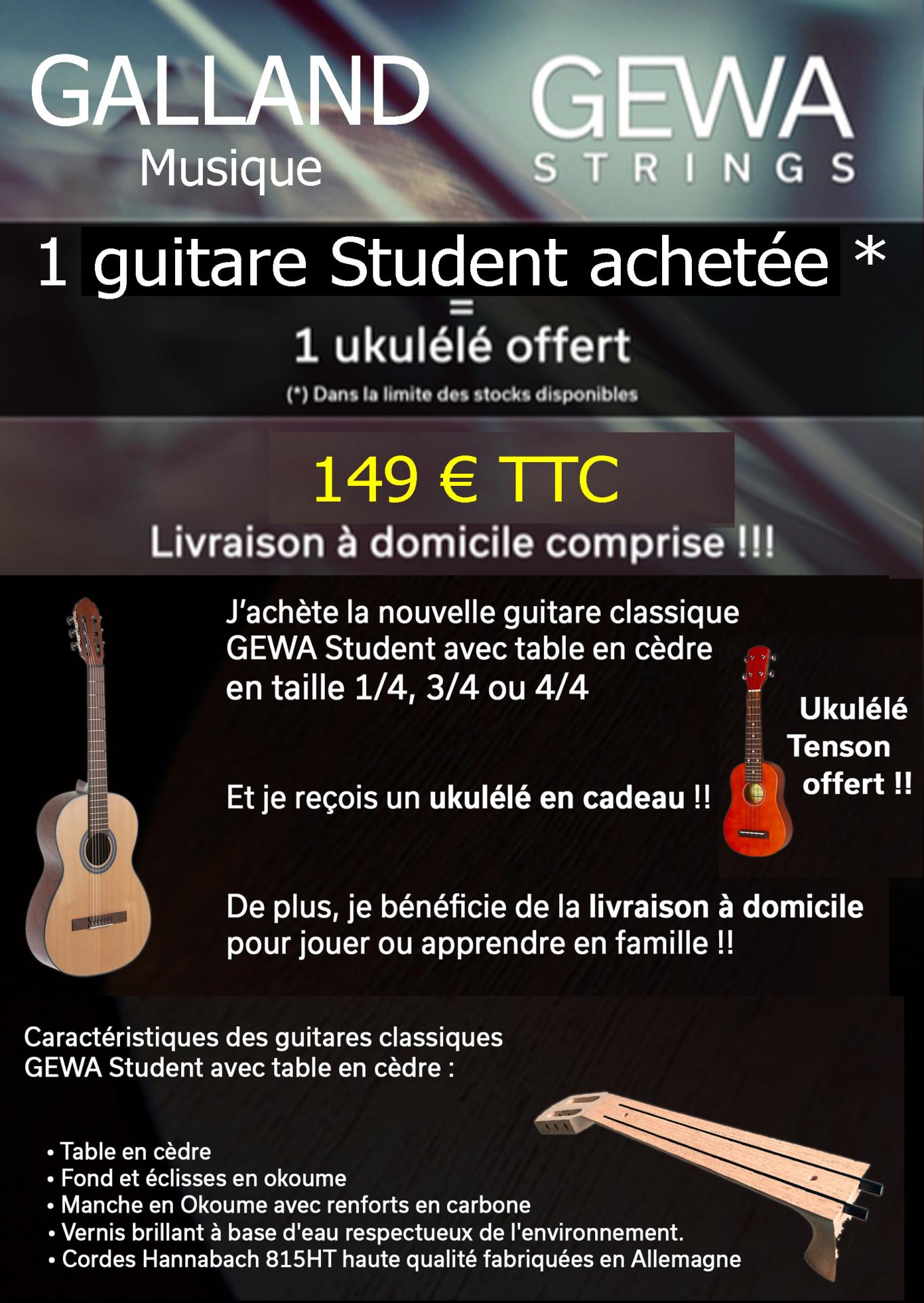 Gewa guitare 1