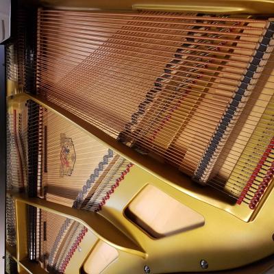Grotrian steinweg 165 noir 5