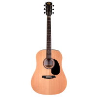 Guitare acoustique sd25 face