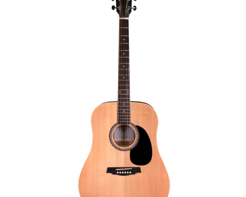 Guitare acoustique sd25 face