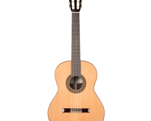 Guitare classique soloist 500 face
