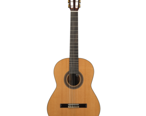 Guitare classique soloist 900 face