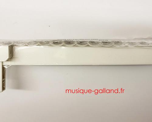 H19 blanche