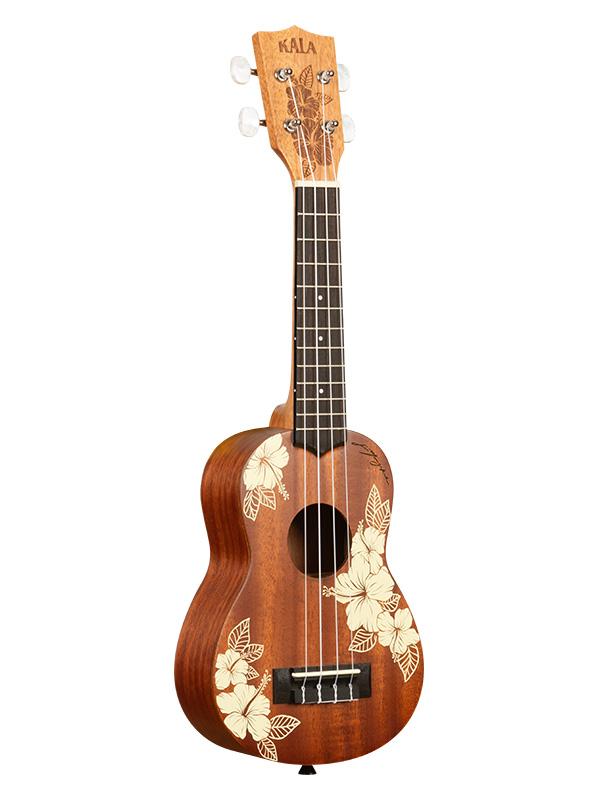 Kal ka hibiscus s bag 2