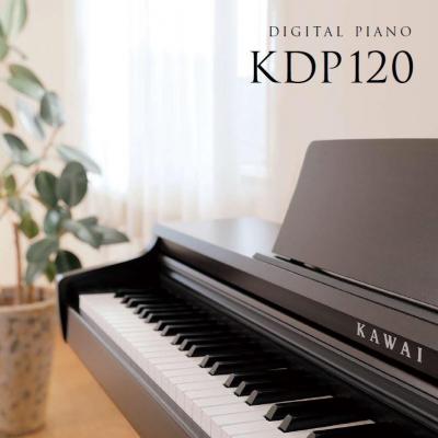 Kdp120