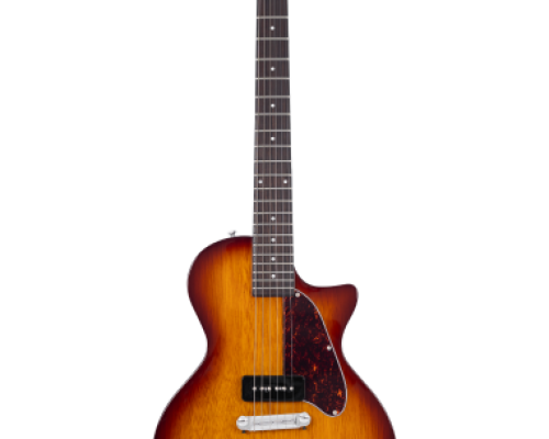 Larry carlton l3 p90 ts sc archtop rn