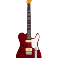 Larry carlton t7 tm str sc rn