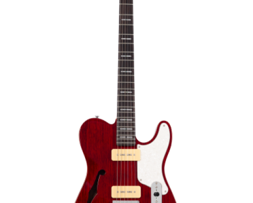 Larry carlton t7 tm str sc rn