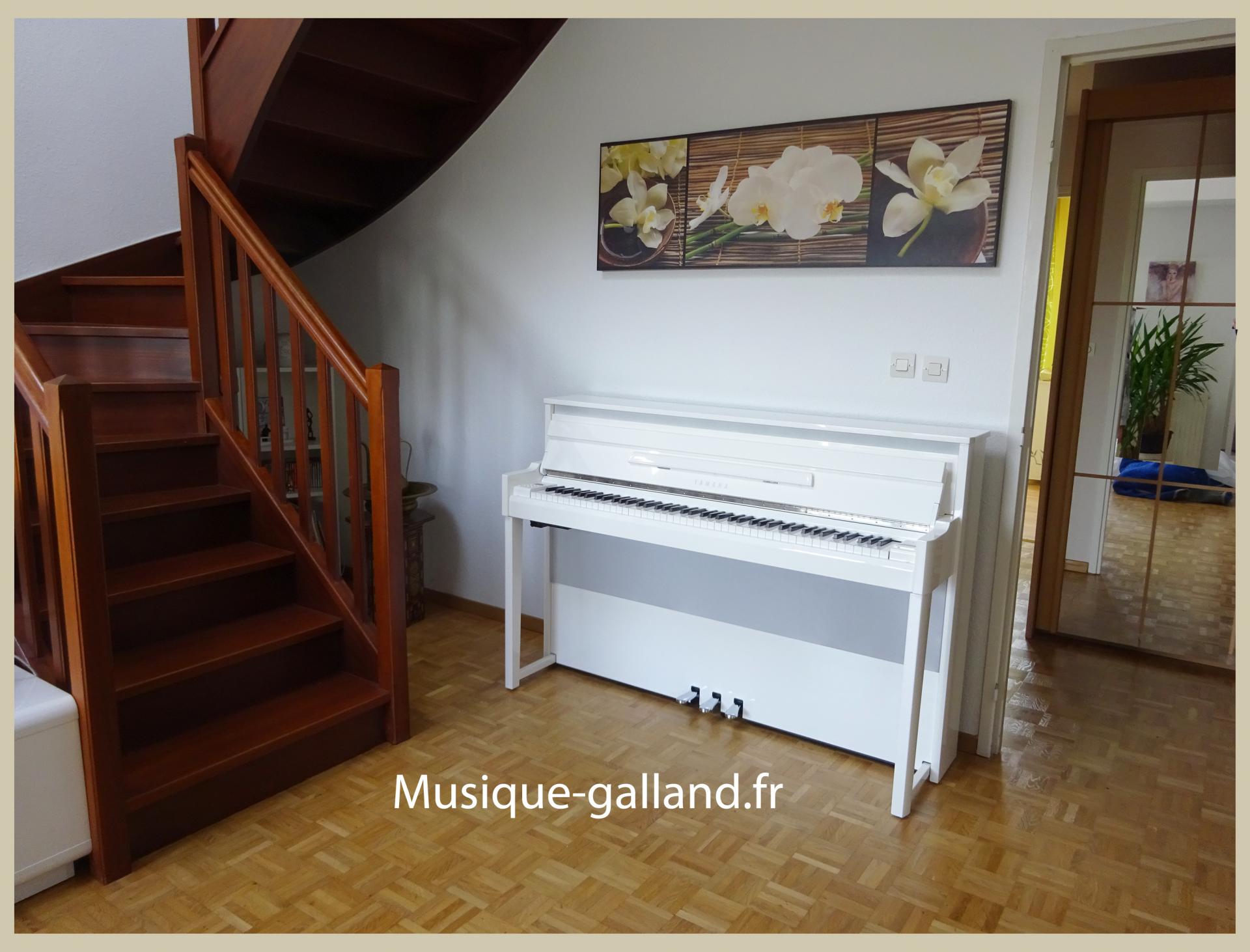 Nu1 wh horizontal