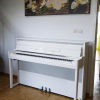 Nu1 wh vertical