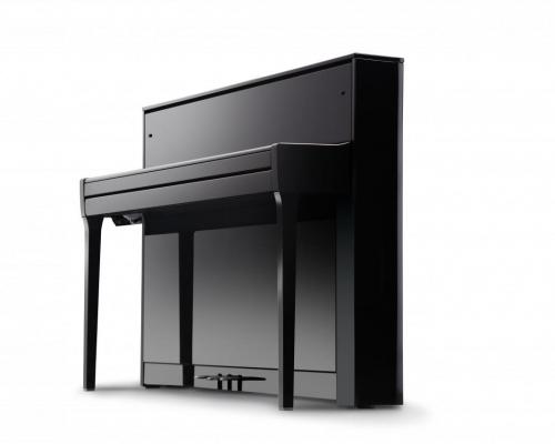 Nv5s kawai mulhouse 8