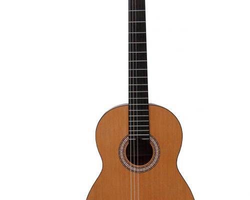 Prodipe guitars primera face