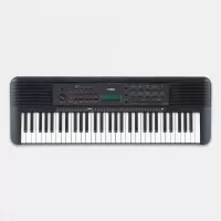 Psr e 273